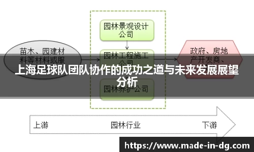 上海足球队团队协作的成功之道与未来发展展望分析
