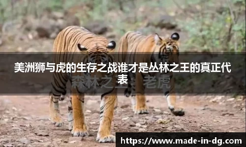 美洲狮与虎的生存之战谁才是丛林之王的真正代表